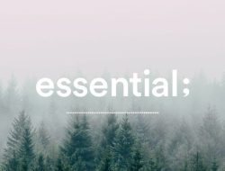 Essential Car Accessories Every Driver Should Buy Online