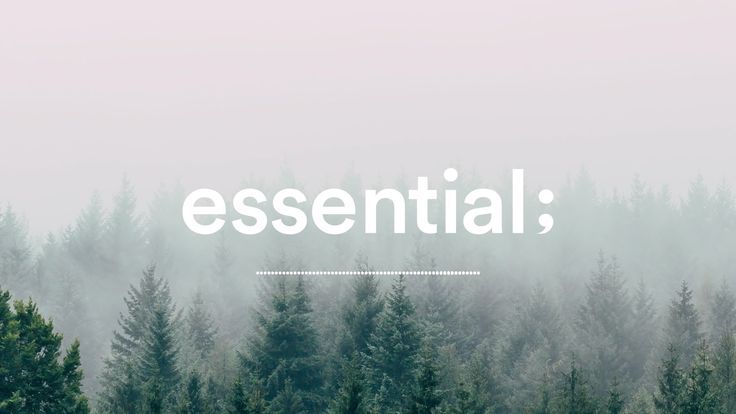 Essential Car Accessories Every Driver Should Buy Online