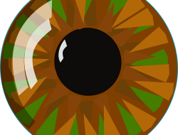 What to Look For When Buying Suspension Parts Online