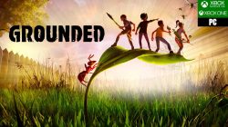 Grounded footwear for women stylish comfort redefined Grounded footwear for women stylish comfort redefined