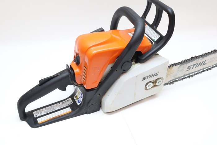 Stihl MS 170 – Gas Chainsaw – Stihl Overview and Insights