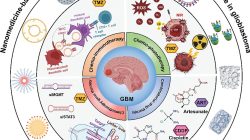 Resistance bands for workout purchase made easy