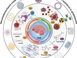 Resistance bands for workout purchase made easy