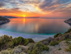 Beautiful storm doors enhance your homes charm