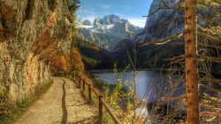 Hiking boots for men best price ultimate guide