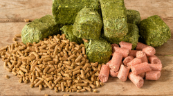 Source equine supplement for optimal horse health