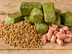 Source equine supplement for optimal horse health