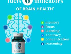Neuriva Plus Brain Support Reviewing the Coffee Cherry and PS Performance Analysis