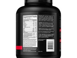 MuscleTech Nitro-Tech Protein Testing the Whey Creatine Formula for Strength