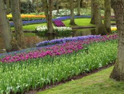 Garden of Life Vitamin Code Raw A Review of Whole Food Multivitamin Bioavailability