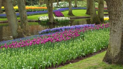 Garden of Life Vitamin Code Raw A Review of Whole Food Multivitamin Bioavailability