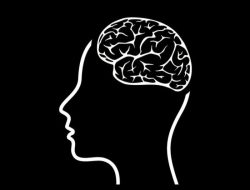 Mind Lab Pro Testing the Universal Nootropic Formula for Cognitive Clarity