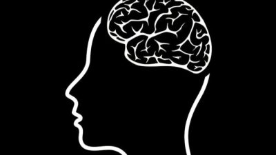 Mind Lab Pro Testing the Universal Nootropic Formula for Cognitive Clarity