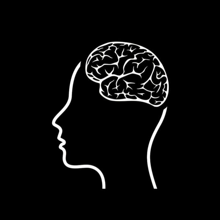 Mind Lab Pro Testing the Universal Nootropic Formula for Cognitive Clarity