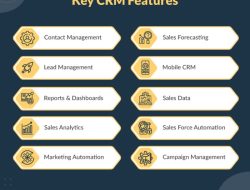 Salesforce Starter Review Testing CRM Capabilities for Small Business