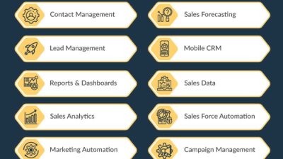 Salesforce Starter Review Testing CRM Capabilities for Small Business