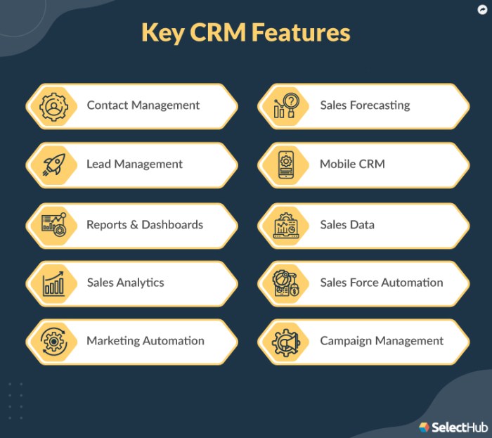 Salesforce Starter Review Testing CRM Capabilities for Small Business