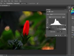 Adobe Creative Cloud Review The Industry Standard Graphic Design Suite