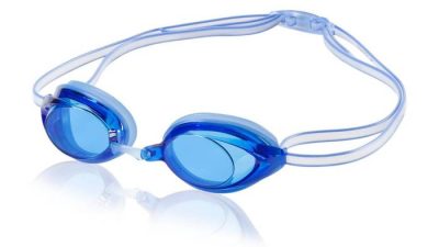 Speedo Vanquisher 2.0 Goggles Testing the Best Competition Swim Gear