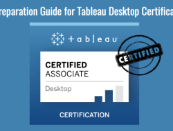 Tableau Desktop Review Professional Data Visualization and BI Test
