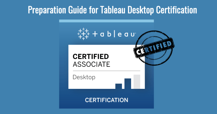 Tableau Desktop Review Professional Data Visualization and BI Test