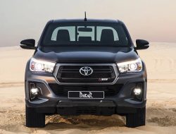 Nature Made Fish Oil 1200mg Reviewing Omega-3 Concentration and Heart Health