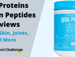 Vital Proteins Collagen Peptides A Review of Hair Skin and Nail Support Results