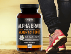 Onnit Alpha BRAIN Testing the Clinical Research Behind the Iconic Nootropic
