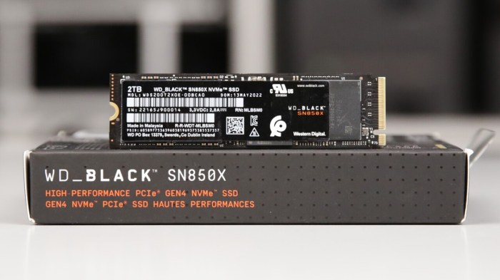 Western Digital Black SN850X SSD Top-Tier Gaming Drive Performance Review