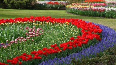 Garden of Life Vitamin Code Raw A Review of Whole Food Multivitamin Bioavailability