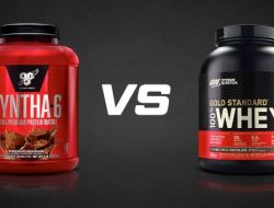 Optimum Nutrition Gold Standard Whey Performance Review