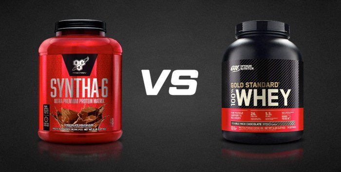 Optimum Nutrition Gold Standard Whey Performance Review