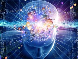 Mind Lab Pro Testing the Universal Nootropic Formula for Cognitive Clarity