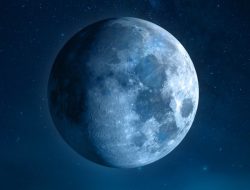 Moon Juice Magnesi-Om Testing the Berry-Flavored Relaxation and Sleep Powder