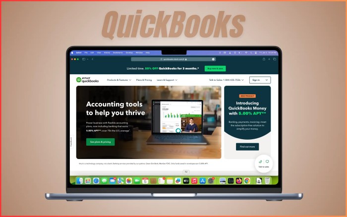 Accounting Software – Small Business – QuickBooks Made Easy