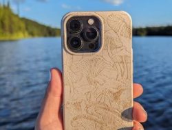 Compostable Phone Case – Plant-Based – Pela Case