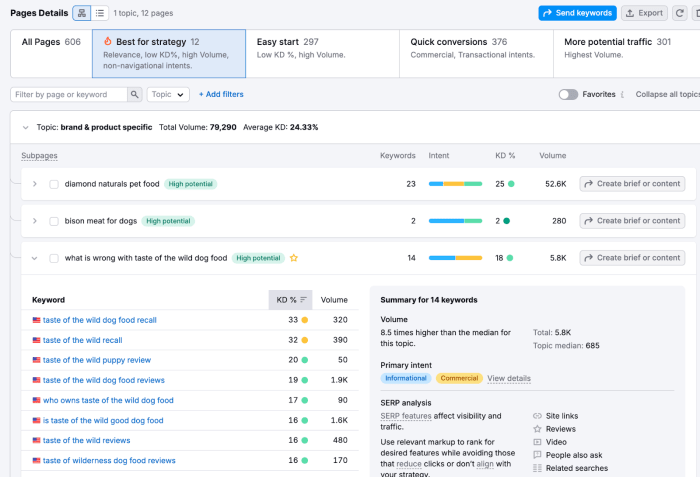 SEO Tool – Keyword Research – Semrush Unleashed