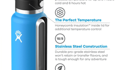 Graphic Design Software – Vector Graphics – Canva Unleashed