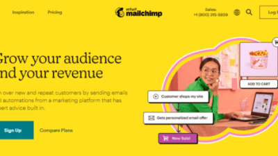 Email Marketing Platform – Automation – Mailchimp Unleashed