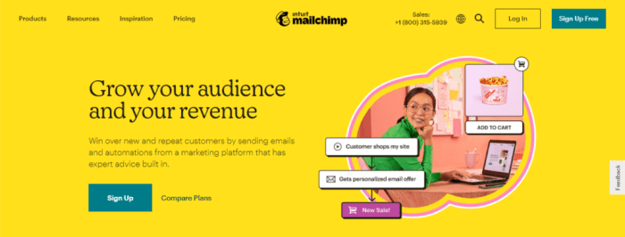 Email Marketing Platform – Automation – Mailchimp Unleashed
