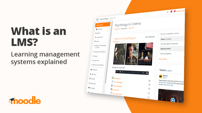 Learning Management System (LMS) – Online Course – Moodle