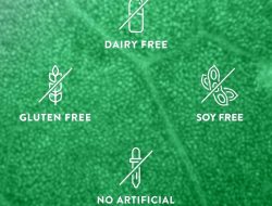 Berberine HCL – Blood Sugar Support – Thorne Unleashed