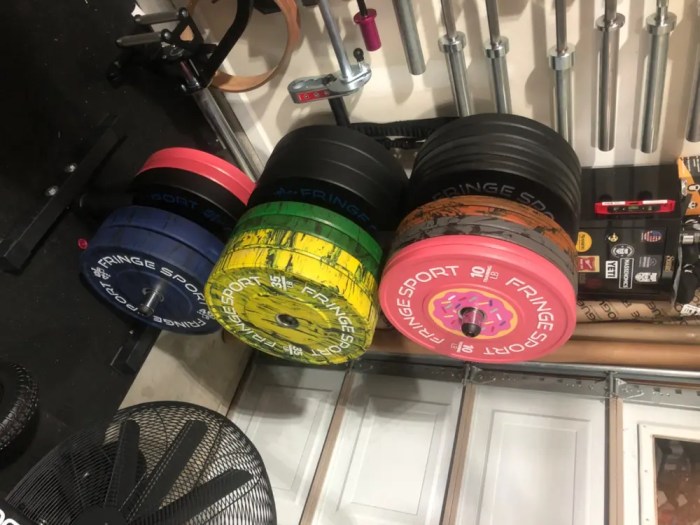 Weight Plates – Bumper Plates – Fringe Sport Essentials