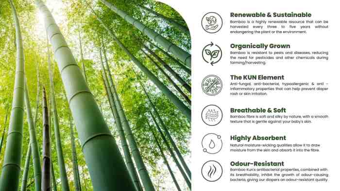 Organic Bamboo Diapers| Organic Diapers For Babies| Rash Free Diapers ... Organic Bamboo Diapers - Eco-Friendly Baby - Dyper