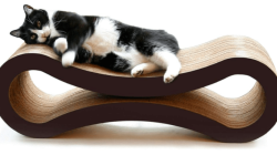 Recycled Cardboard Cat Scratcher – Eco Pet – Petfusion