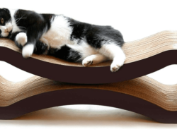 Recycled Cardboard Cat Scratcher – Eco Pet – Petfusion