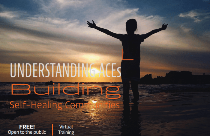 Rochester Aces - Rochester Aces Aces richmond va