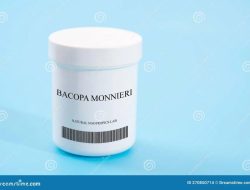 Bacopa Monnieri – Brain Booster – Himalaya Benefits