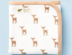 Organic Cotton Baby Onesie – Non-Toxic – Monica + Andy