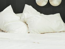 Vegan Silk Pillowcase – Agave Fiber – Ettitude Unveiled